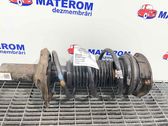 Front coil spring