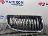Oberes Gitter vorne