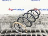 Rear coil spring