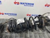 Front coil spring