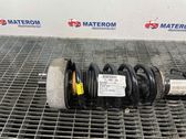 Front coil spring