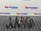 Front coil spring
