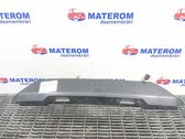 Rear door trim (molding)