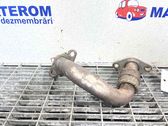 EGR-linjan letku