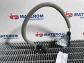 Alerón del maletero ventana trasera