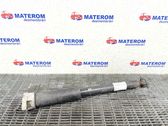 Rear shock absorber/damper