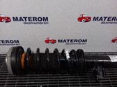Front coil spring