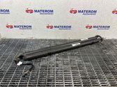 Tailgate/trunk strut/damper