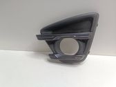 Front fog light trim/grill