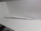 Listón embellecedor de la ventana de la puerta trasera