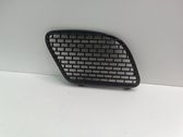 Ziergitter Motorhaube