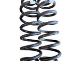 Muelle espiral trasero