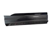 Rear door trim (molding)