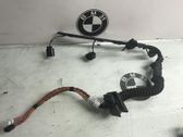 Faisceau de câblage pour moteur