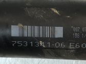Drive shaft (set)