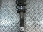 Front shock absorber with coil spring