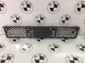 Front bumper lower grill