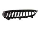 Front bumper upper radiator grill