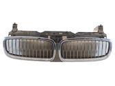 Kühlergrill