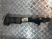Stoßdämpfer hinten