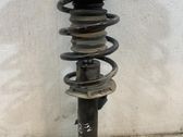 Front shock absorber with coil spring