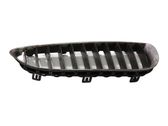Front bumper upper radiator grill