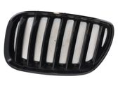 Front bumper upper radiator grill
