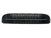 Front bumper lower grill