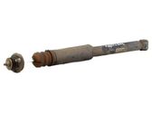 Rear shock absorber/damper