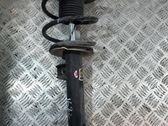 Front shock absorber with coil spring