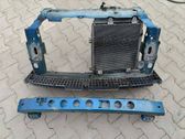 Engine bonnet/hood lock trim molding