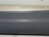 Rear door trim (molding)