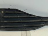 Front fog light trim/grill