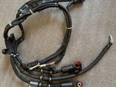 Other wiring loom