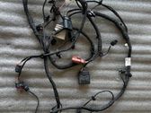 Other wiring loom