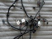 Parking sensor (PDC) wiring loom