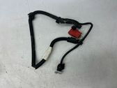 Other wiring loom