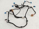 Other wiring loom