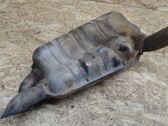 Rear muffler/silencer tail pipe