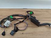 Front door wiring loom