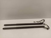 Tailgate/trunk strut/damper
