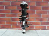 Front shock absorber/damper