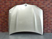 Engine bonnet/hood