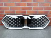 Front bumper upper radiator grill