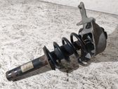 Front shock absorber/damper
