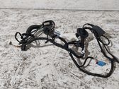 Front door wiring loom