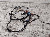 Front door wiring loom