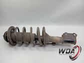 Front shock absorber/damper