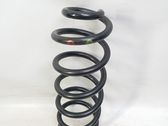 Muelle espiral trasero