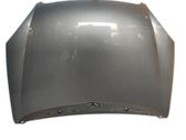Engine bonnet/hood